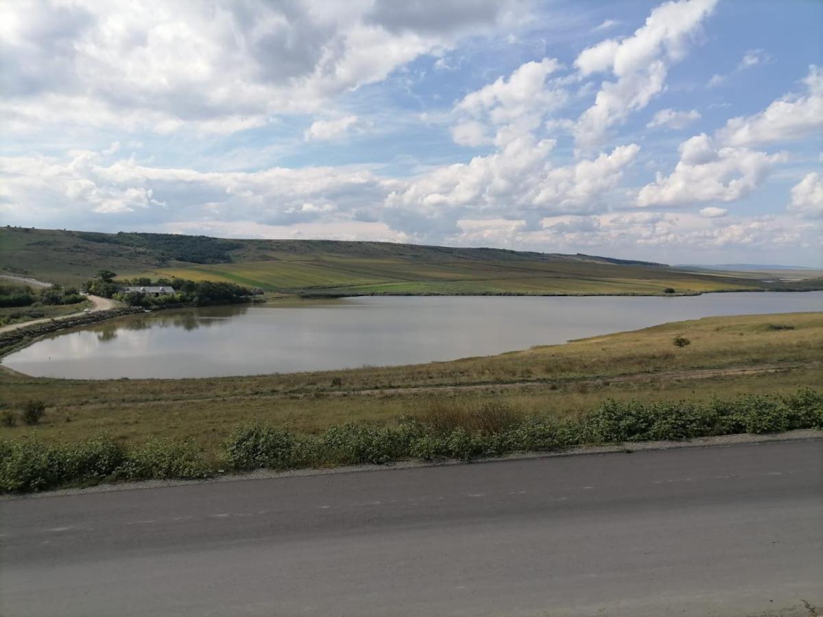 Отель La Elvetian Яссы Экстерьер фото